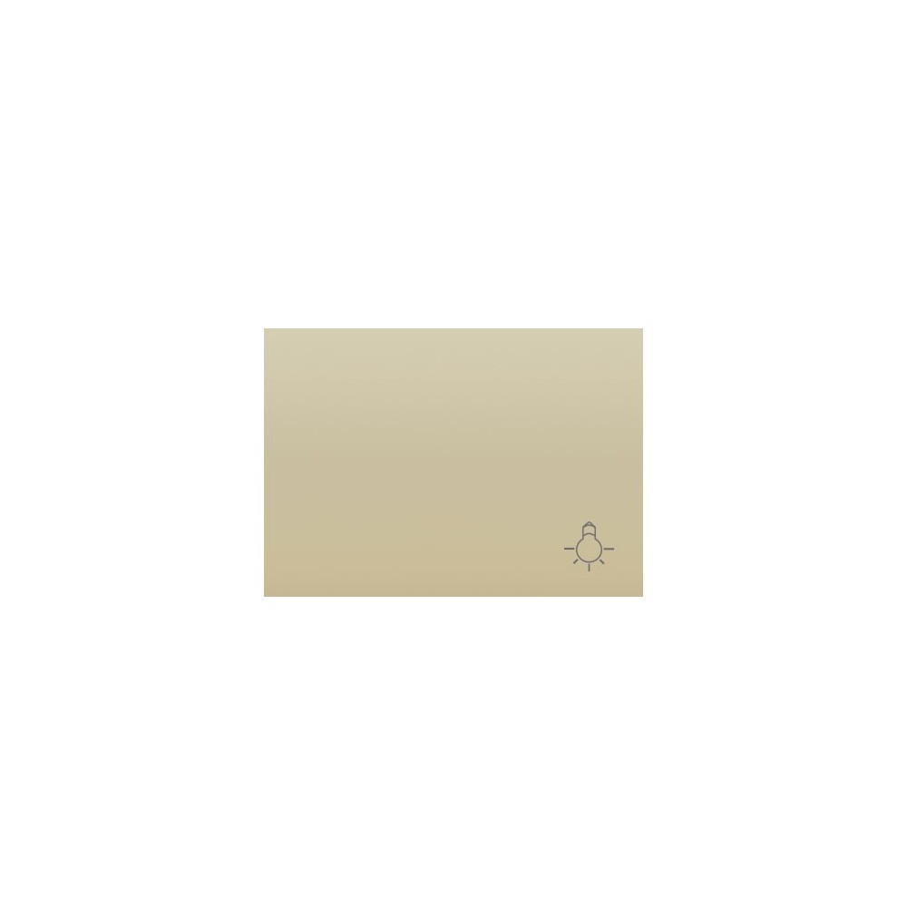 BJC 21717-A TECLA P/PULSADOR SIMBOLO LUZ S.CORAL BEIGE